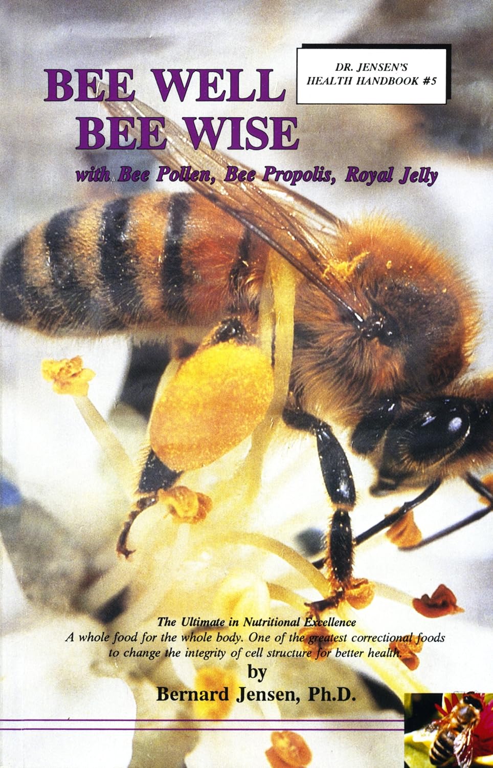 Bee Well Bee Wise cover