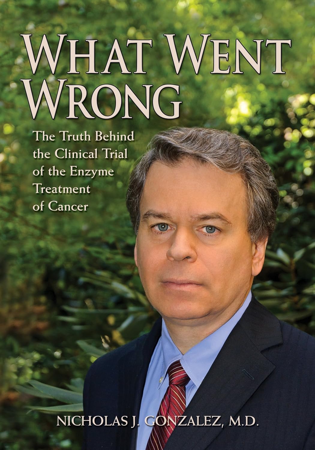 What Went Wrong cover